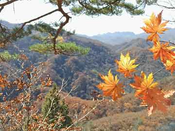 探寻自然美景的心灵觉醒，历史上的11月10日与马自达奇妙之旅的最新款马自发布日。