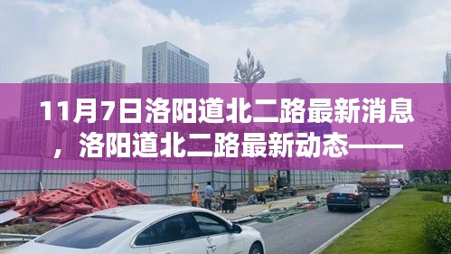 洛阳道北二路最新动态解析，聚焦要点更新（11月7日消息）