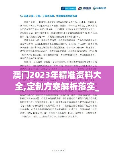 澳门2023年精准资料大全,定制方案解析落实_双语版85.101