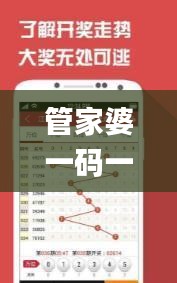 管家婆一码一肖精准揭秘：视频版安全策略深度分析_wuc633.39