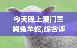 今天晚上澳门三肖兔羊蛇,综合评判标准_高效版zdp112.8