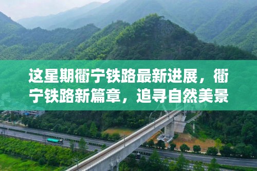 联系杏彩体育 第10页