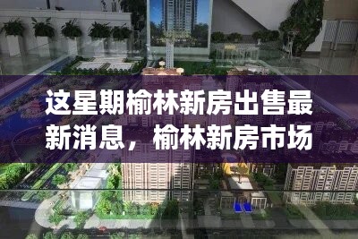 榆林新房市场最新动态，本周新房出售评测与介绍全新出炉
